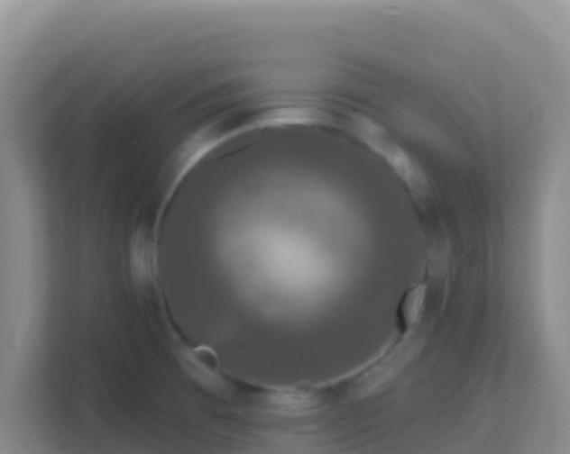 X0000111671473200907241202