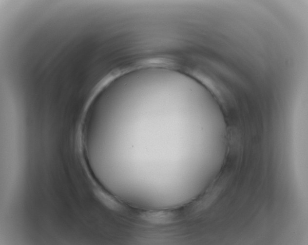 X0000111671474200907241202