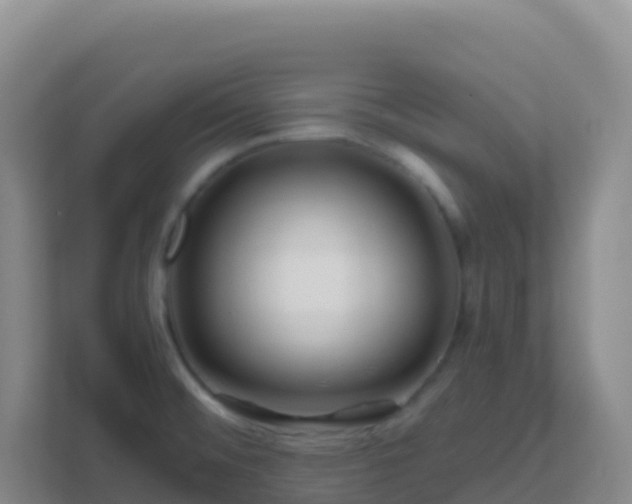 X0000111671476200907241202