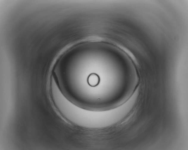 X0000111671477200907241202