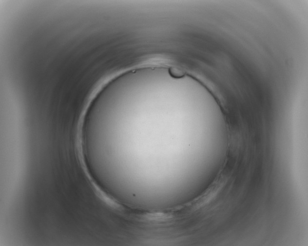 X0000111671478200907241202