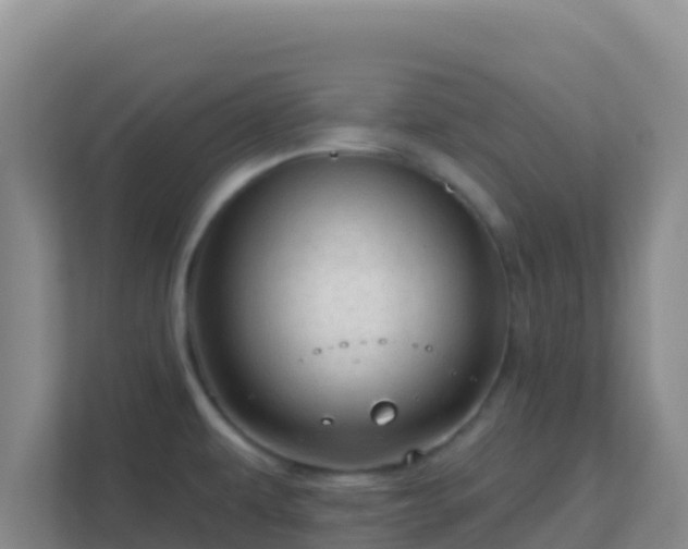 X0000111671479200907241202