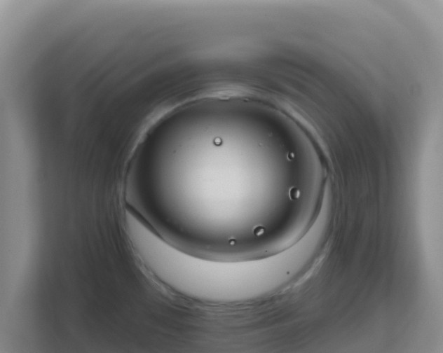 X0000111671481200907241202