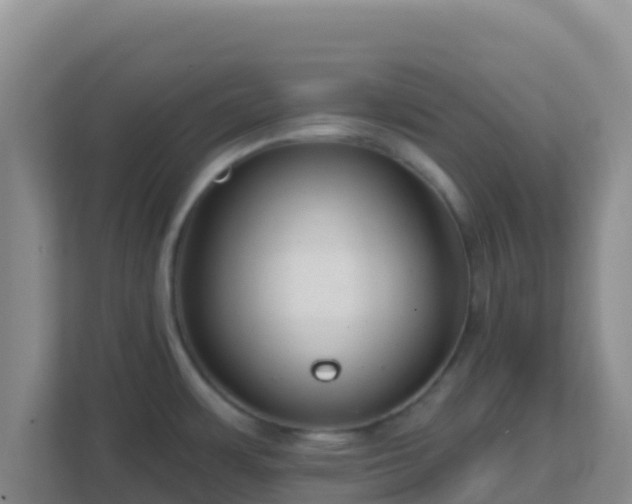 X0000111671483200907241202