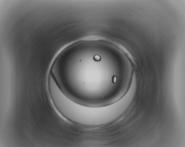 X0000111671484200907241202