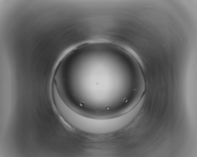 X0000111671485200907241202