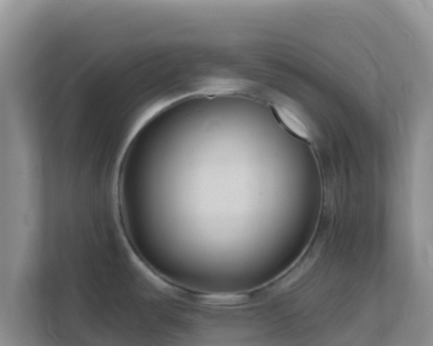 X0000111671487200907241202