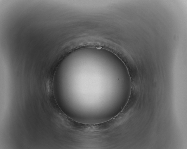 X0000111671490200907241201