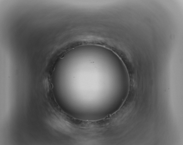 X0000111671493200907241201