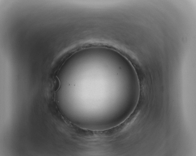 X0000111671494200907241201