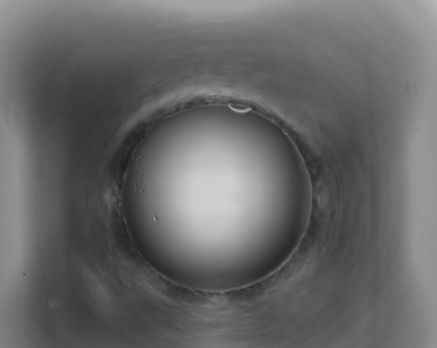 X0000111671495200907241201