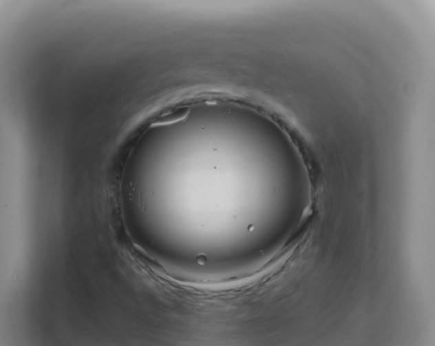 X0000111671496200907241201