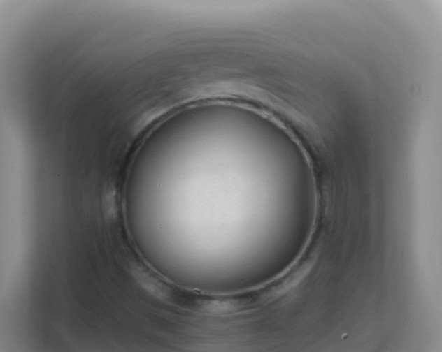 X0000111671497200907241201