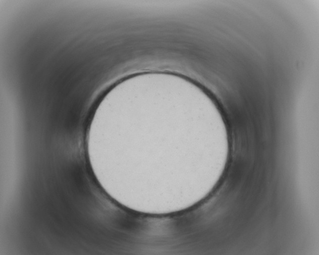 X0000111671498200907241201