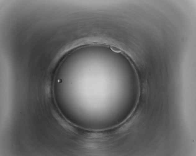 X0000111671499200907241201