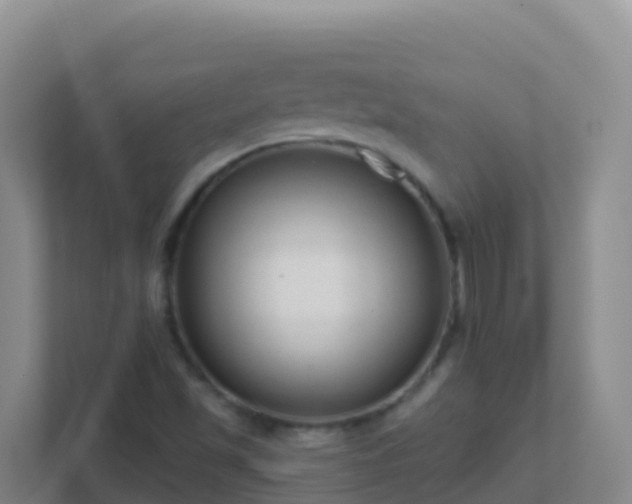 X0000111671501200907241201