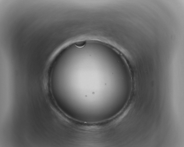 X0000111671502200907241201