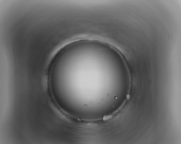 X0000111671503200907241201