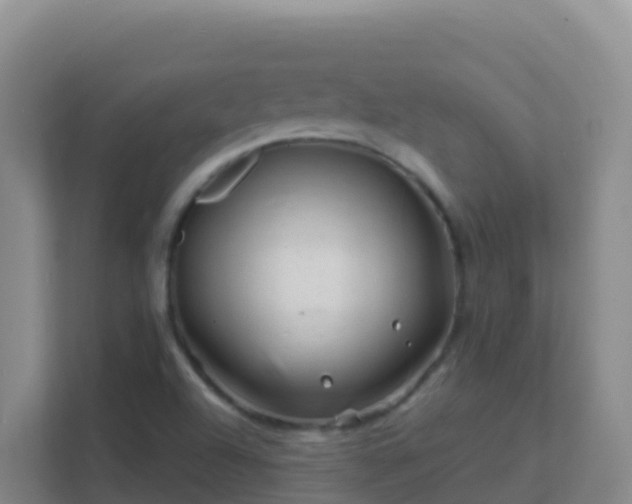 X0000111671504200907241201