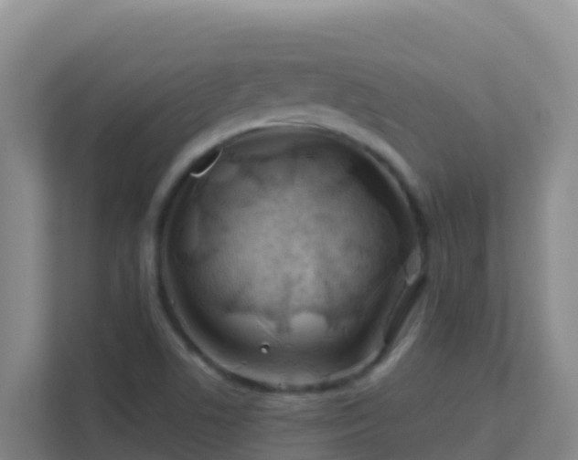 X0000111671506200907241201