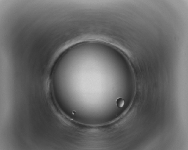 X0000111671507200907241201