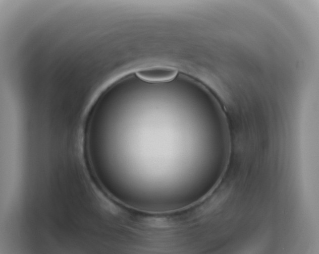 X0000111671508200907241201