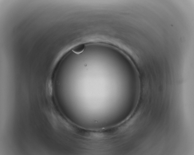 X0000111671509200907241201