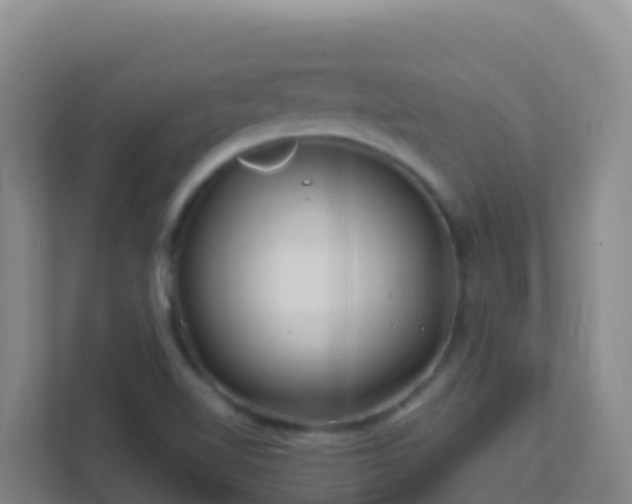 X0000111671510200907241201