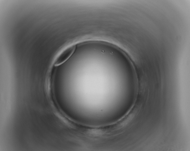 X0000111671511200907241201