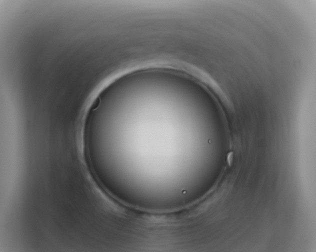 X0000111671512200907241201