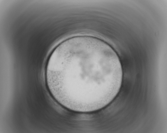 X0000111671514200907241201