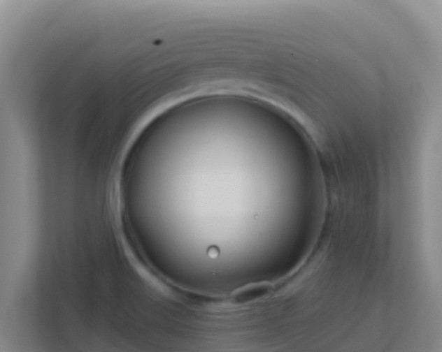 X0000111671515200907241201