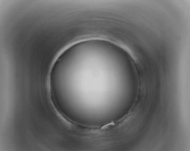 X0000111671516200907241201