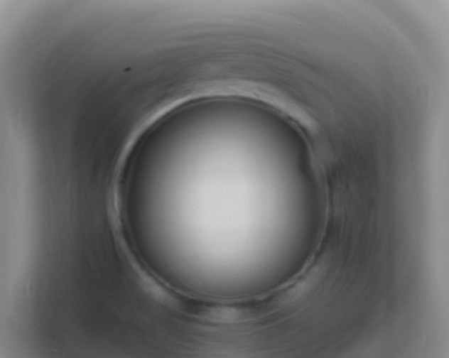 X0000111671517200907241201