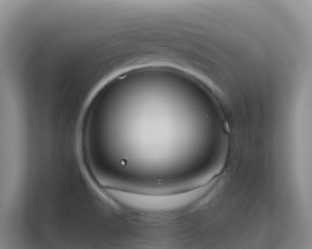 X0000111671518200907241201