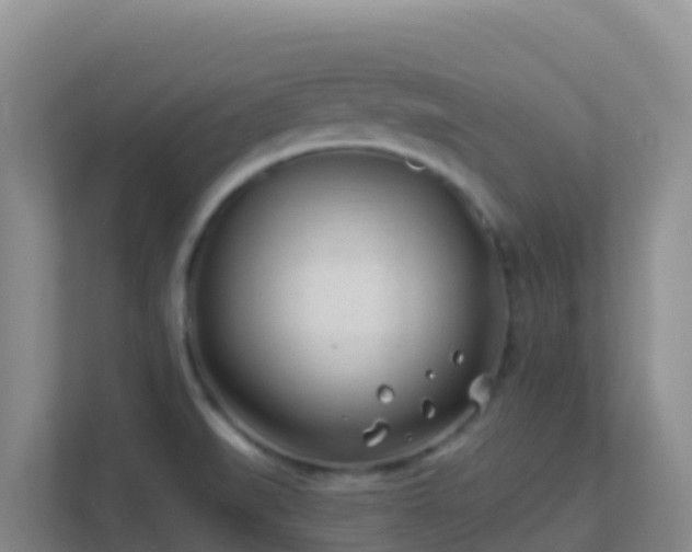 X0000111671519200907241201