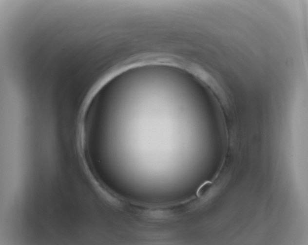 X0000111671520200907241201