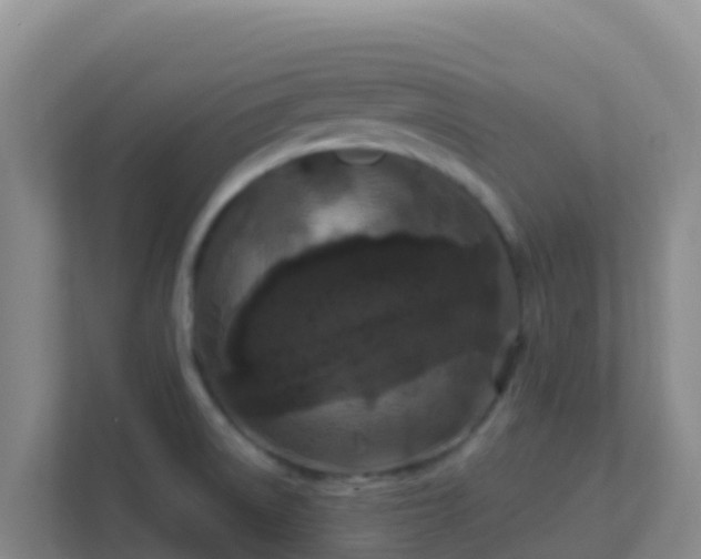 X0000111671522200907241201