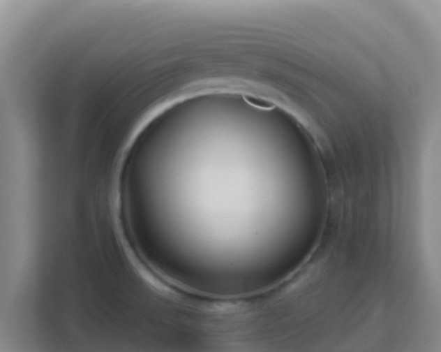 X0000111671523200907241202