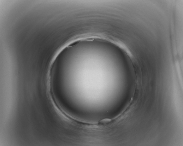 X0000111671524200907241202