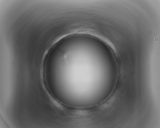 X0000111671525200907241202