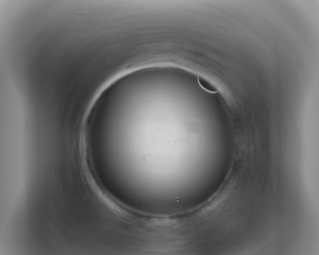 X0000111671526200907241202