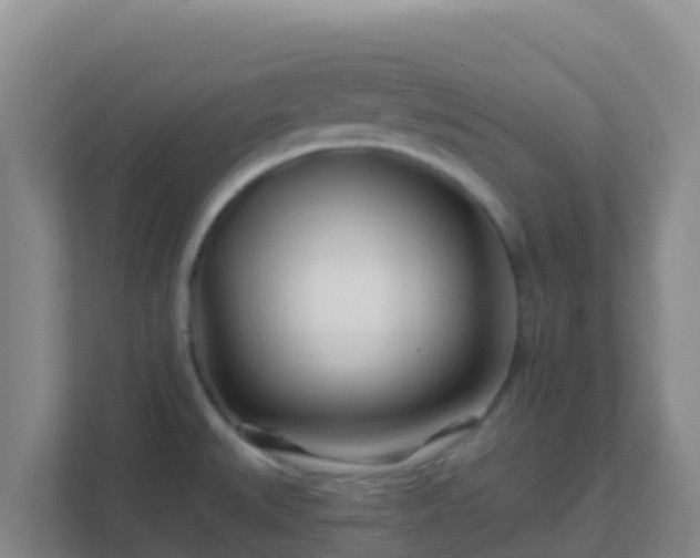 X0000111671527200907241202