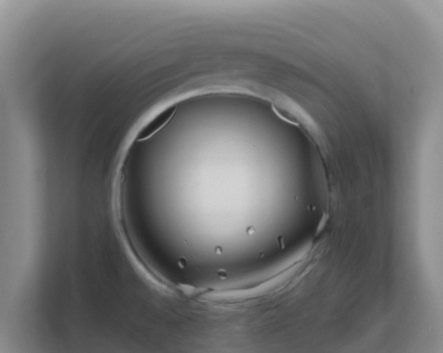 X0000111671528200907241202