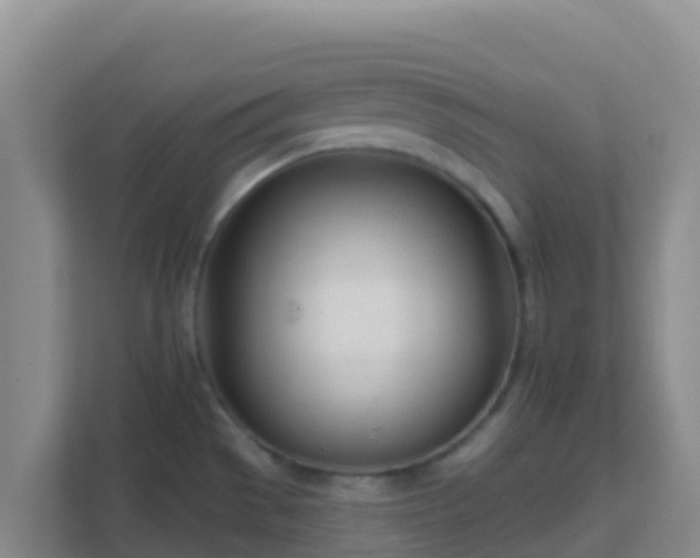 X0000111671529200907241202