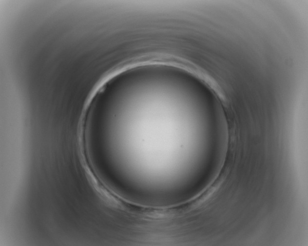 X0000111671530200907241202