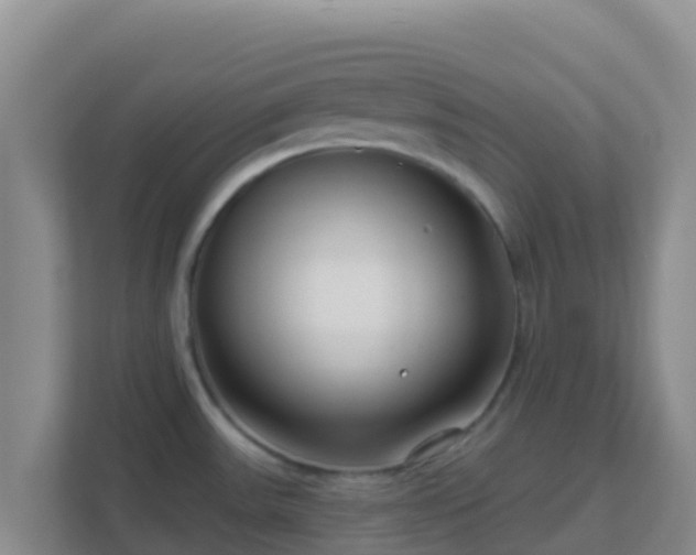 X0000111671531200907241202