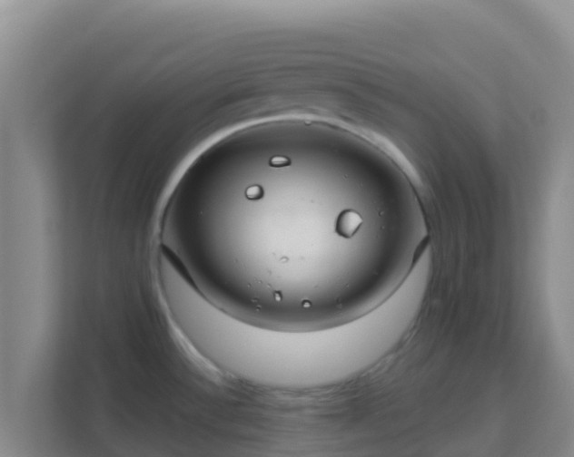 X0000111671532200907241202