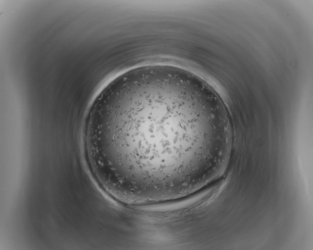 X0000111671533200907241202