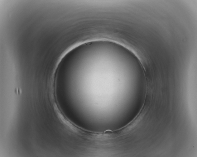 X0000111671534200907241202